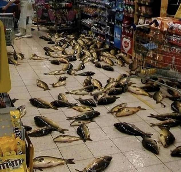 Sometimes You Just Can’t Explain…