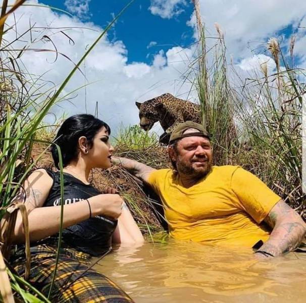 Sometimes You Just Can’t Explain…