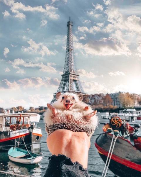 Fine Examples When A Picture Says More Than Just A Thousand Words