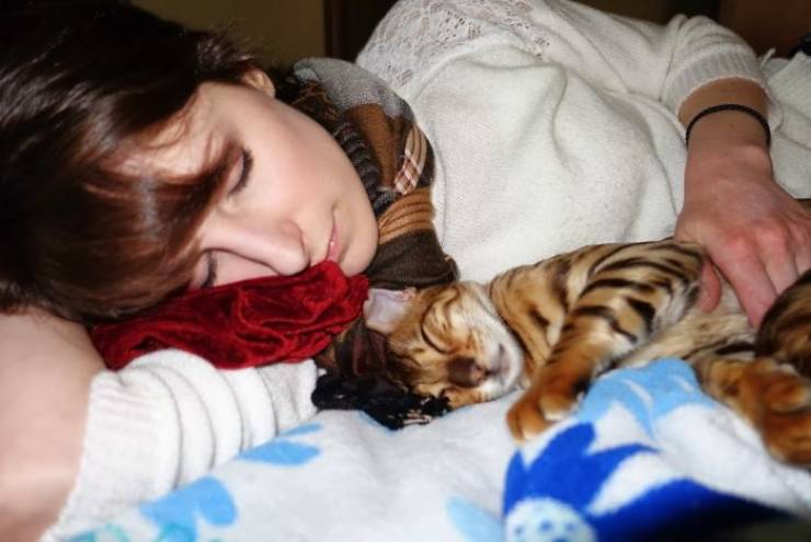 They Said They Didn’t Want A Cat…