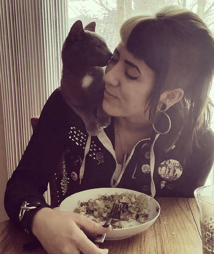 They Said They Didn’t Want A Cat…