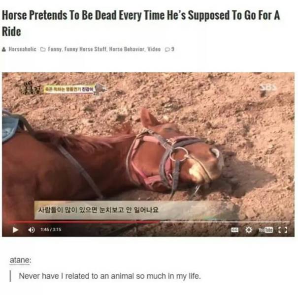 The Funniest Stuff Internet Could Provide