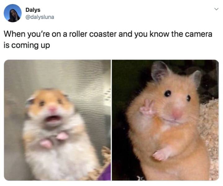 The Funniest Stuff Internet Could Provide