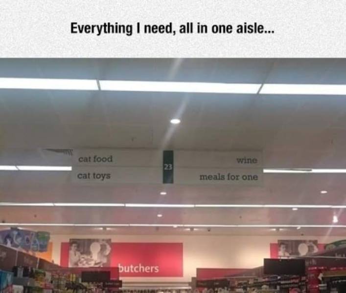 The Funniest Stuff Internet Could Provide