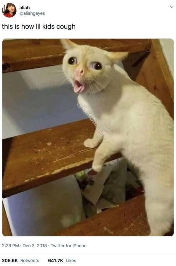 The Funniest Stuff Internet Could Provide