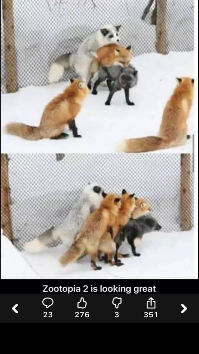 The Funniest Stuff Internet Could Provide