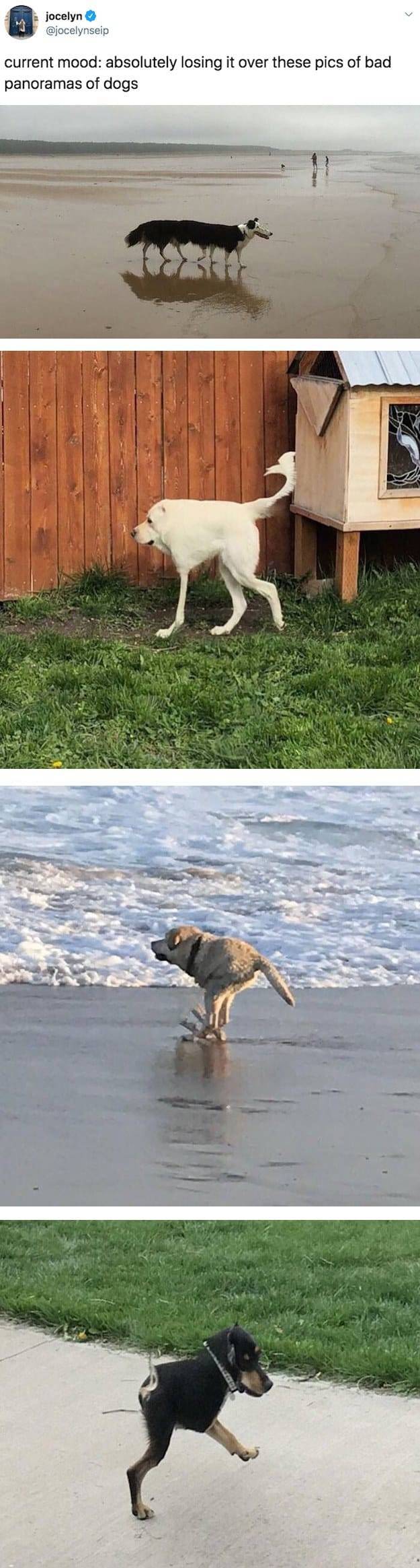 The Funniest Stuff Internet Could Provide