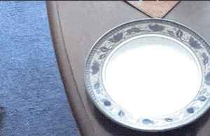 GIFs Look Much Better When Reversed