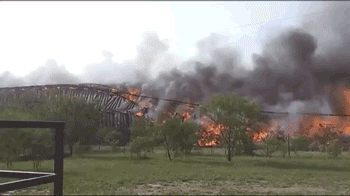 GIFs Look Much Better When Reversed