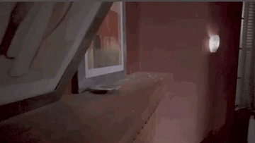 GIFs Look Much Better When Reversed