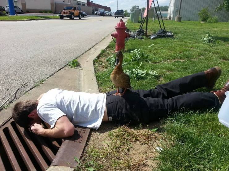 Sometimes You Just Can’t Explain…