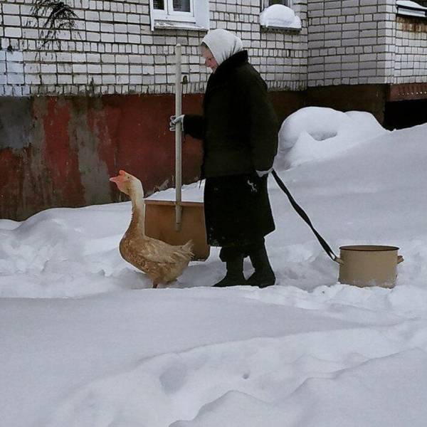 Sometimes You Just Can’t Explain…