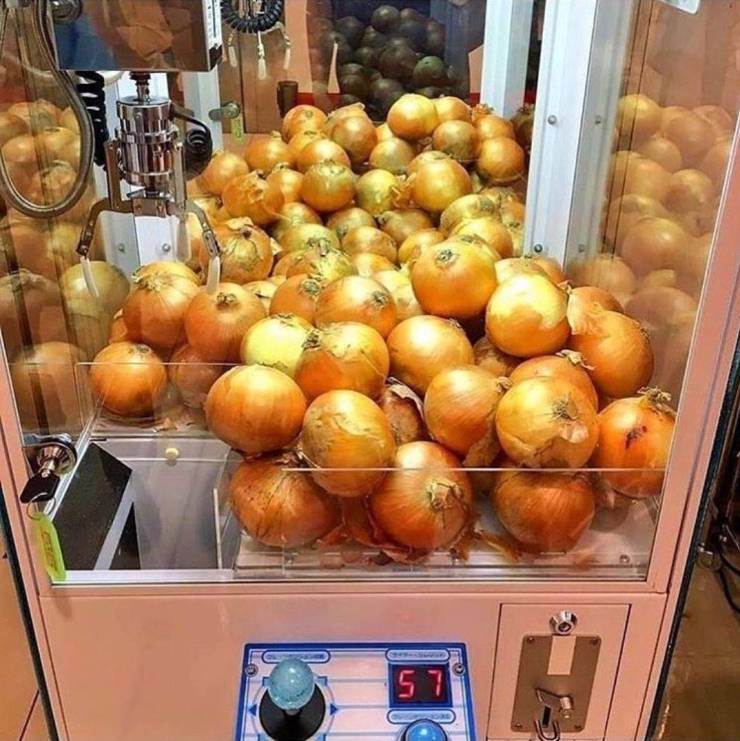 Sometimes You Just Can’t Explain…