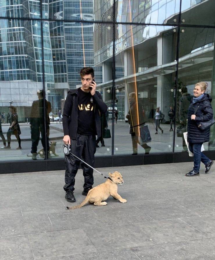 Sometimes You Just Can’t Explain…