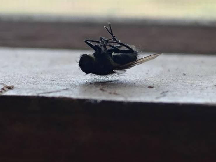 Photos That Are Full Of Excitement