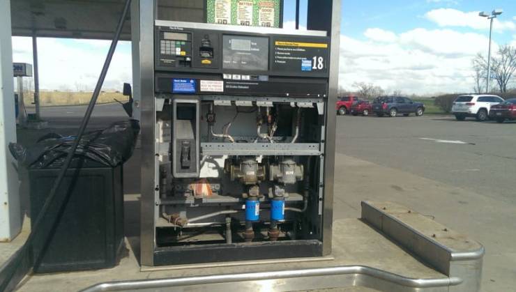 Photos That Are Full Of Excitement