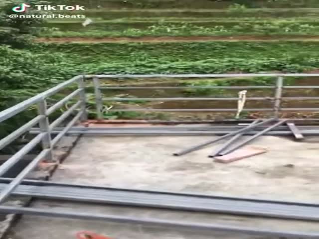 A For Idea. F For Execution