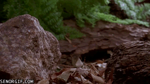 Hold Your Breath, Time For Time-Lapse!