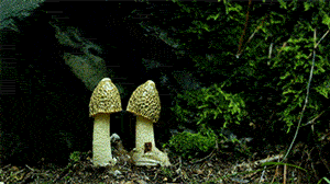 Hold Your Breath, Time For Time-Lapse!