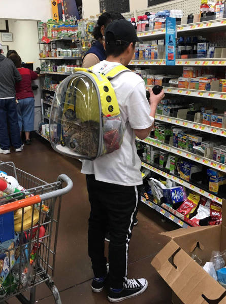 Daily Picdump [WEEKEND EDITION]