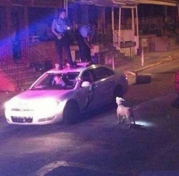 Daily Picdump [WEEKEND EDITION]