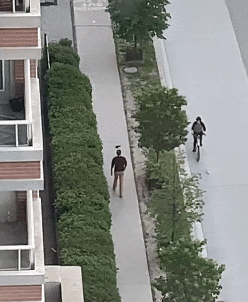 Angry Birds Theme Starts Playing