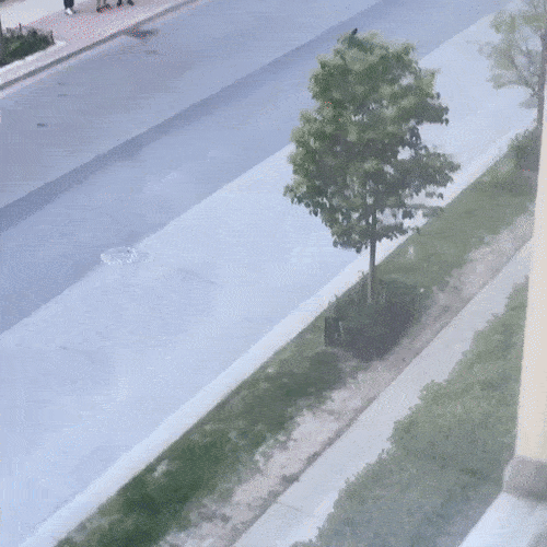 Angry Birds Theme Starts Playing