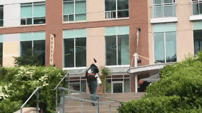 Angry Birds Theme Starts Playing