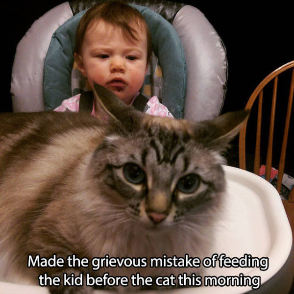 Despite Everything, Life Is Still Fantastic