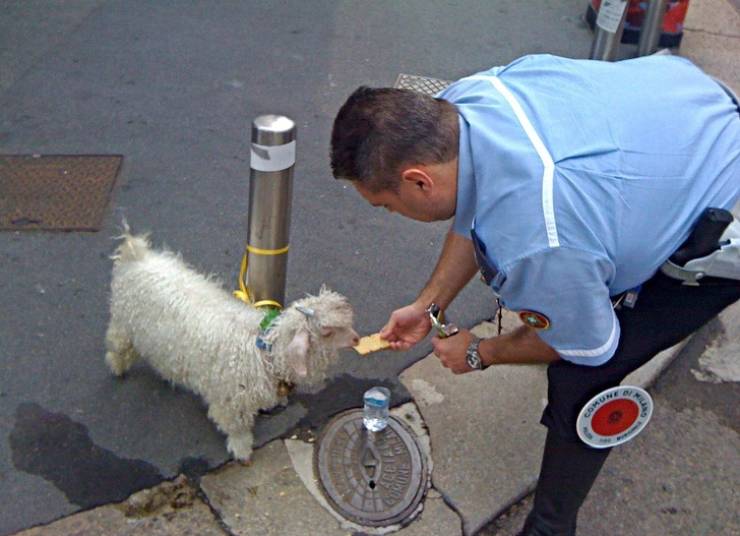 Despite Everything, Life Is Still Fantastic