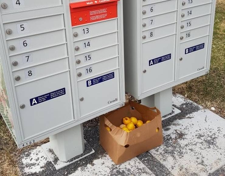 Despite Everything, Life Is Still Fantastic