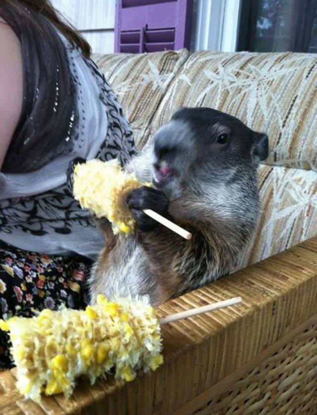 Despite Everything, Life Is Still Fantastic