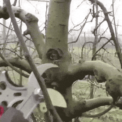 There’s A Tool For Anything!