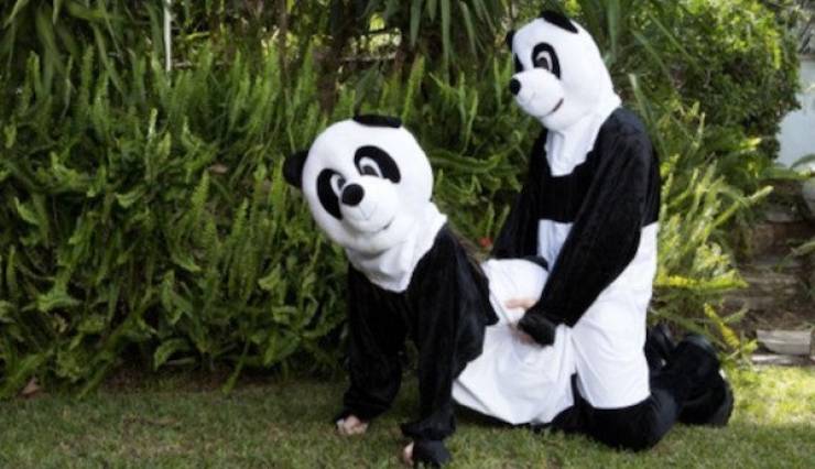 Very Kinky Facts About Adult Entertainment