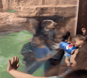 You Didn’t Expect These Unexpected GIFs