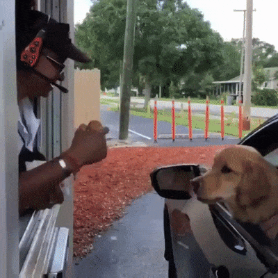 It’s Dog Day Every Day!