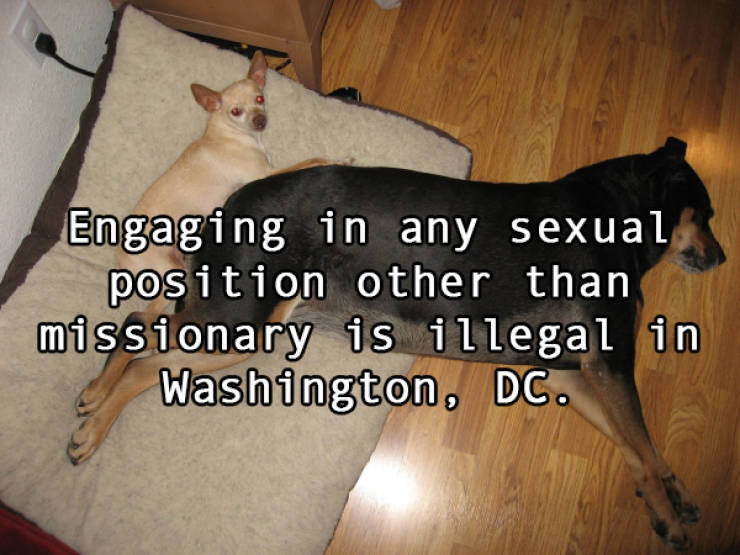 US Has Some Pretty F###ed Up Sex Laws…