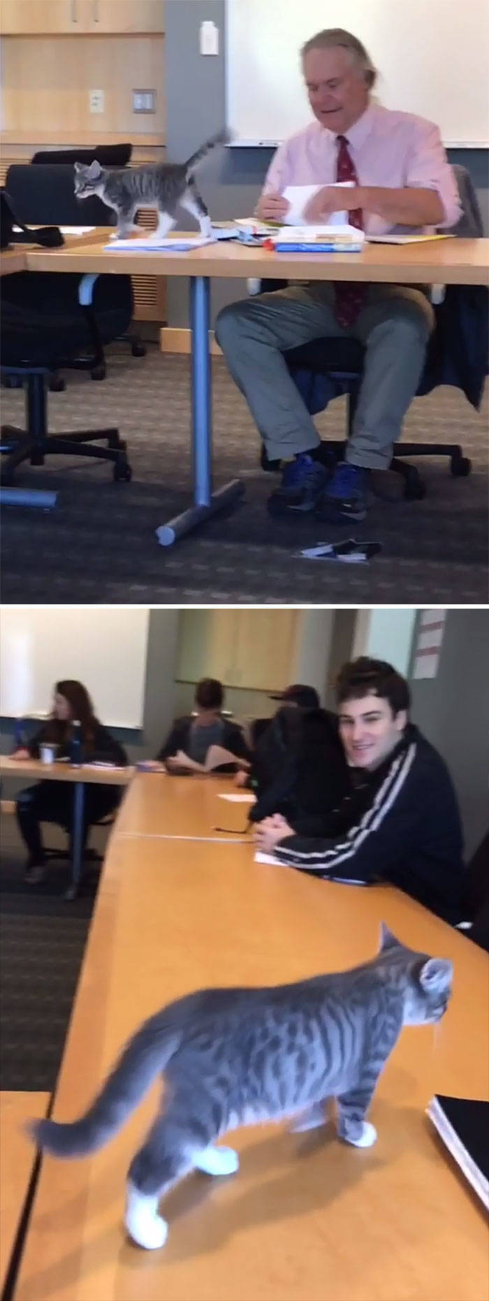 These Teachers Are The Best!