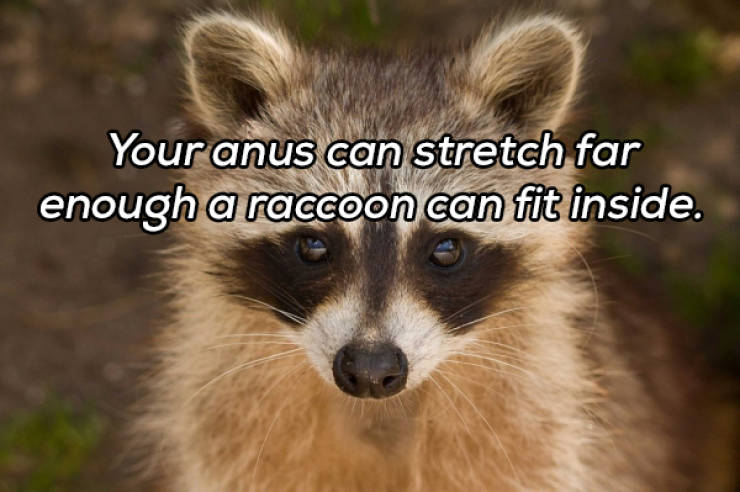 It’s Always Time For NSFW Facts!