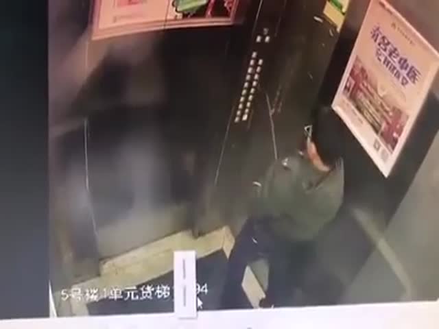 Yeah, Elevators Love When People Do This To Them…