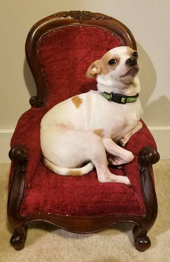 People Who Got Lucky In Thrift Stores