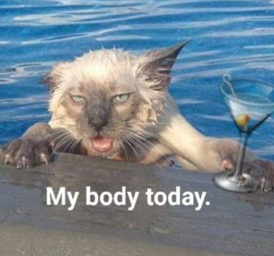 Daily Picdump [WEEKEND EDITION]