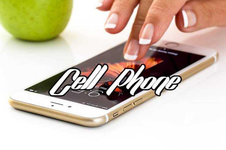 Everything Is A Sex Toy If You’re Brave Enough…