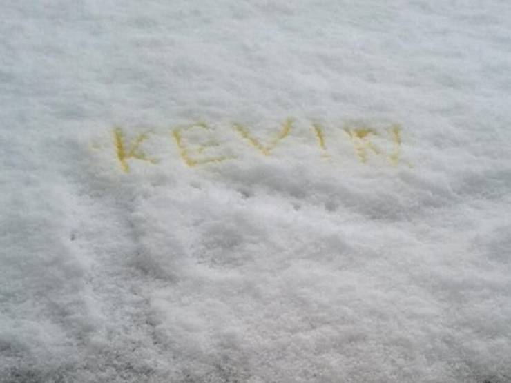 If Women Had A Penis…