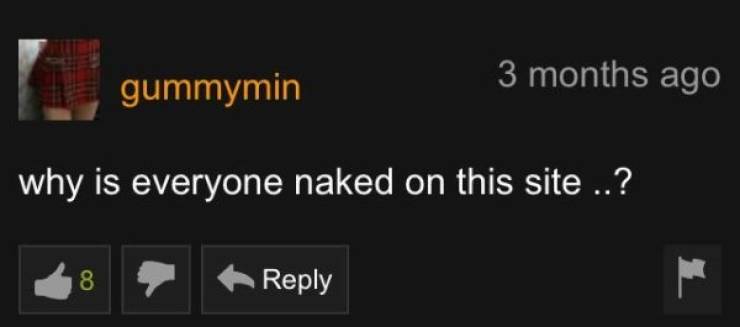 Pornhub Also Has Pretty Good Comments, You Know…
