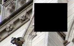 Curiosities and bonus pictures