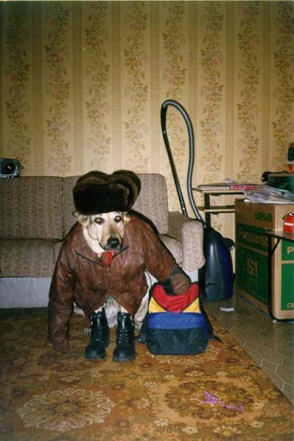 Pictures taken by surprise. Part 2 (67 pics)