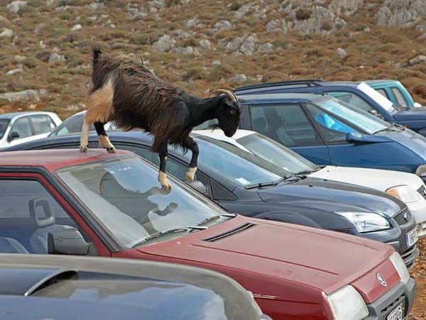 Pictures taken by surprise. Part 2 (67 pics)