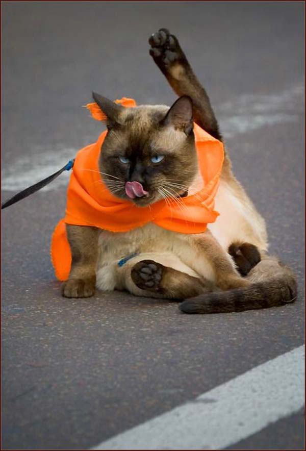 Pictures taken by surprise. Part 2 (67 pics)