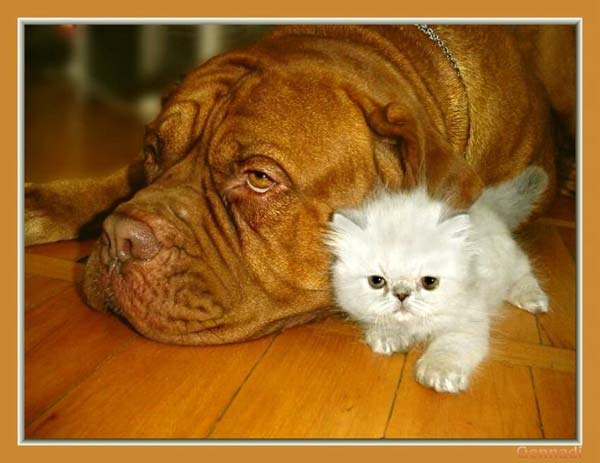 Pictures taken by surprise. Part 2 (67 pics)